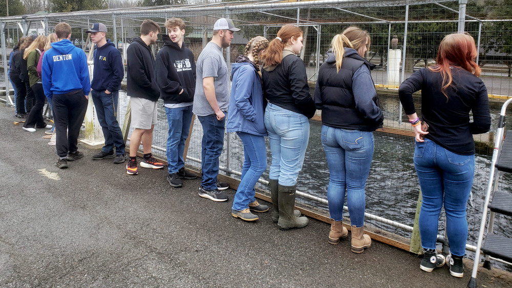 Students look on into the water