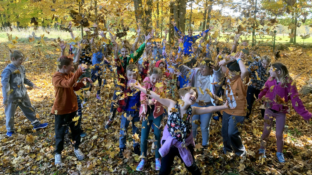 students toss leaves into the air