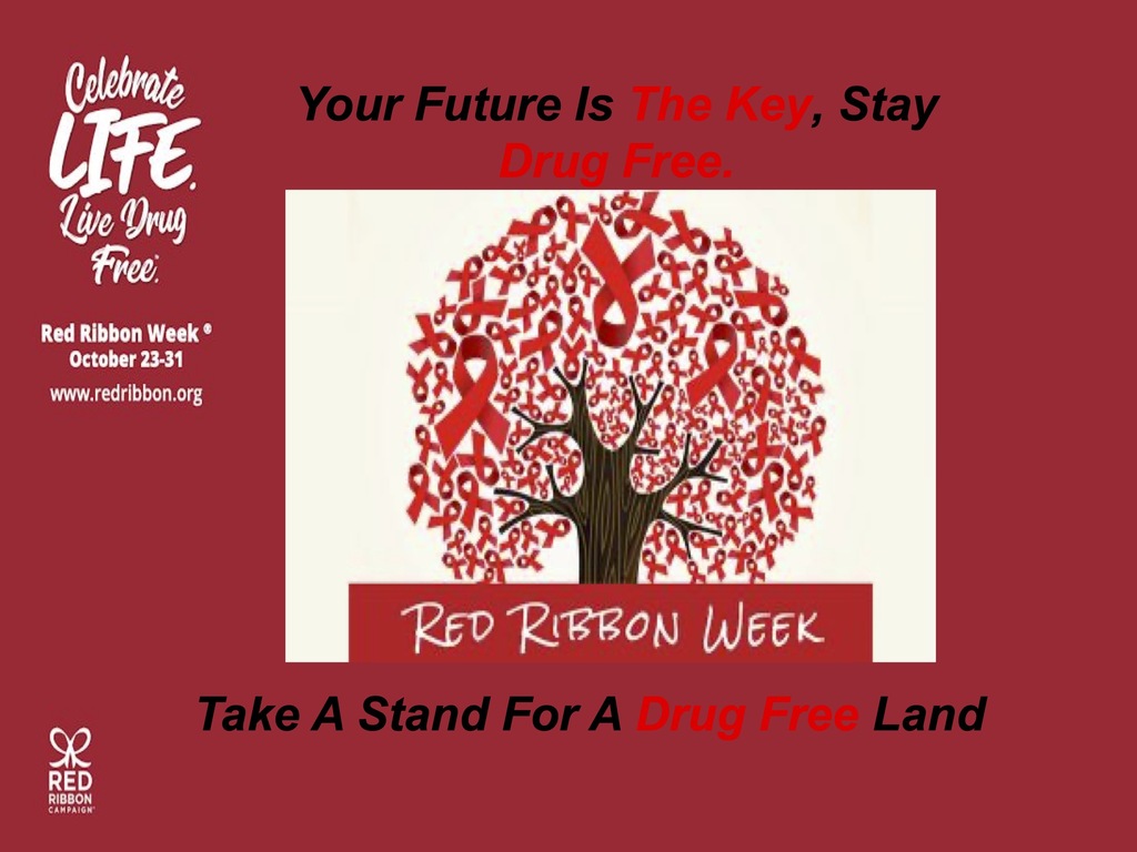 "Your future is the key, stay drug free. Take a stand for a drug free land."