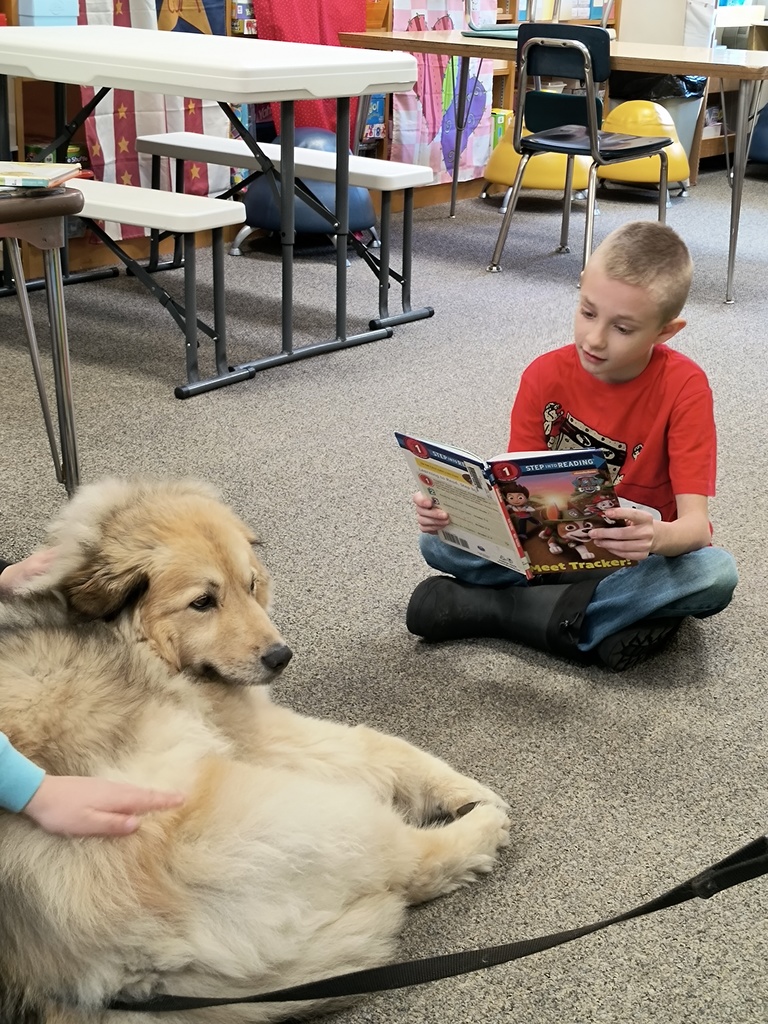 A student reads to Melo, the therapy dog.
