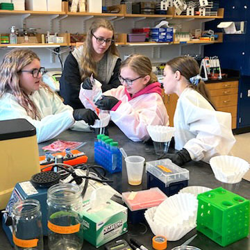 Students experiment in the lab