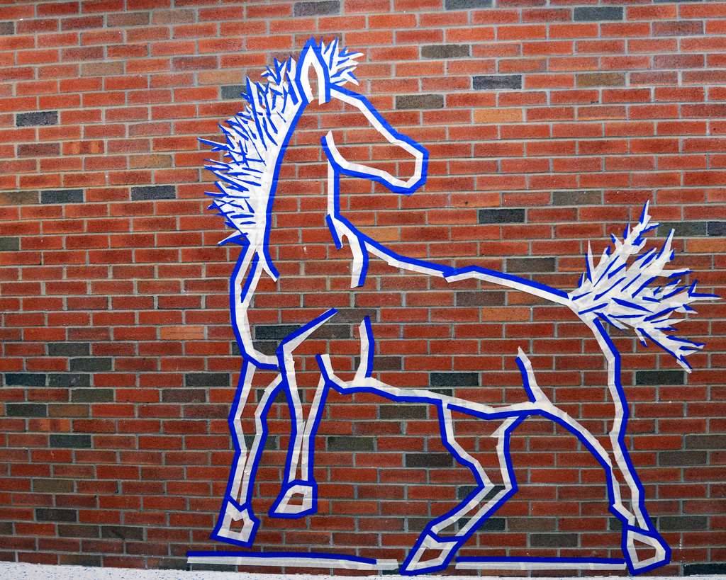Mount Markham Mustang made with tape