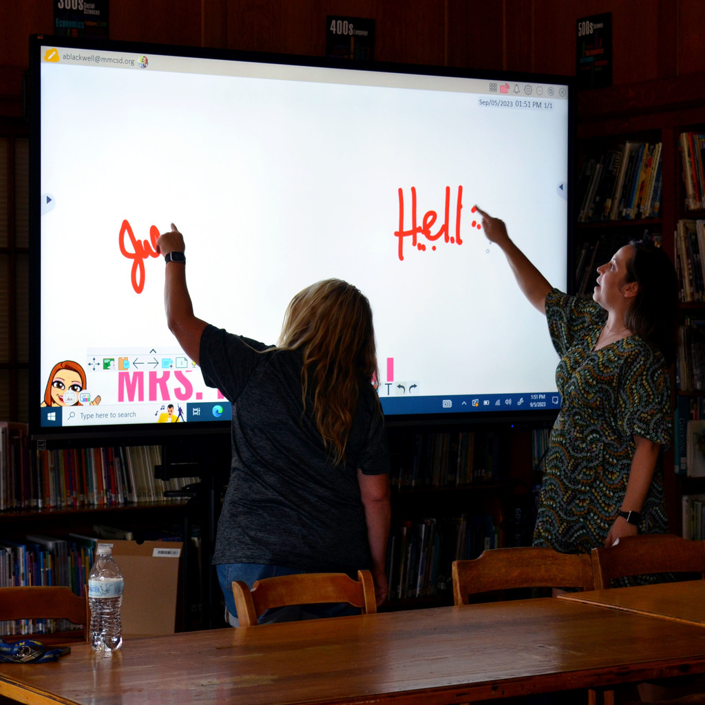 Staff train on ViewSonic boards